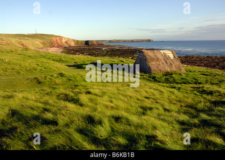 Algen, die Trocknung Hütte Freshwater West Pembrokeshire Coast National Park Wales UK Europe Stockfoto