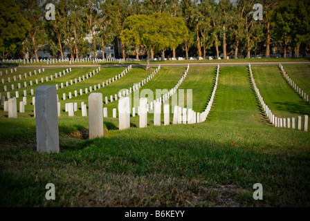 ERINNERN BEVÖLKERUNG RUHIG BLEIBT RUHE RUHE RIP REIHEN TRAURIG TRAURIGKEIT GELASSENHEIT SECHS SCHLAF DRECK RUHE RUHE UNTER VIELEN RIESIGEN 6 PARK BAUM Stockfoto