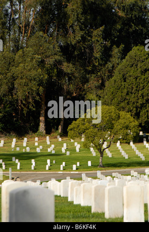 ERINNERN BEVÖLKERUNG RUHIG BLEIBT RUHE RUHE RIP REIHEN TRAURIG TRAURIGKEIT GELASSENHEIT SECHS SCHLAF DRECK RUHE RUHE UNTER VIELEN RIESIGEN 6 PARK BAUM Stockfoto