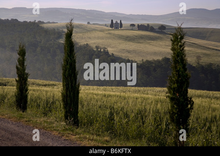 Capella di Vitaleta Val d Orcia Tuscany über offene Nutzflächen Stockfoto