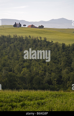 Capella di Vitaleta über Wälder offene Nutzflächen Tuscany angesehen Stockfoto