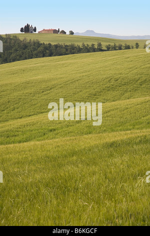 Capella di Vitaleta über Wälder offene Nutzflächen Tuscany angesehen Stockfoto