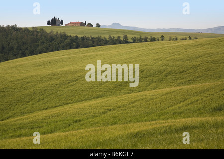 Capella di Vitaleta über Wälder und offenes Ackerland Tuscany angesehen Stockfoto