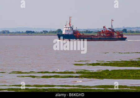 Sand Bagger aus Newport Feuchtgebiete National Nature Reserve South Wales UK Stockfoto