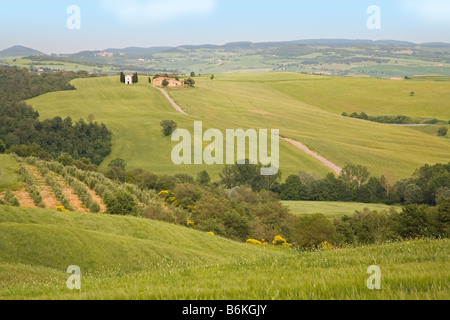 Capella di Vitaleta über Wälder und offenes Ackerland Tuscany angesehen Stockfoto