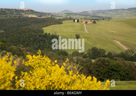 Capella di Vitaleta über Wälder und offenes Ackerland Tuscany angesehen Stockfoto