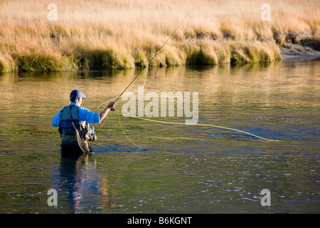 Fliegen Sie-Fischer, Madison River, Yellowstone-Nationalpark, Wyoming, USA Stockfoto