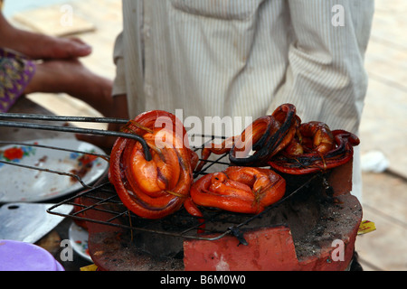 Nahaufnahme von Grill gegrillte Schlange in einer Straße Garküche, Siem Reap, Kambodscha Stockfoto