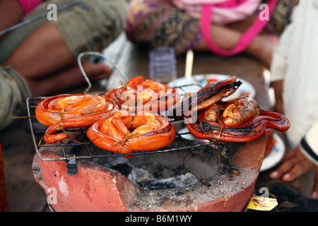 Nahaufnahme von Grill gegrillte Schlange in einer Straße Garküche, Siem Reap, Kambodscha Stockfoto