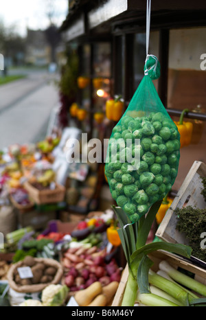 Eine Tasche von Sprossen hängen vor ein Gemüsehändler in Broadway, Worcestershire, UK Stockfoto