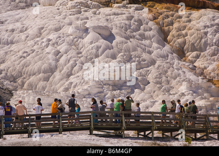 YELLOWSTONE-Nationalpark, WYOMING, USA - Touristen am Boardwalk am Palette Spring Area der Mammoth Hot Springs Terrassen Stockfoto