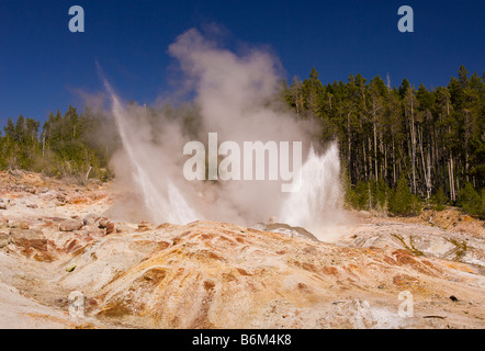 YELLOWSTONE-Nationalpark, WYOMING, USA - Steamboat-Geysir ausbrechen bei Norris Geyser Basin Stockfoto