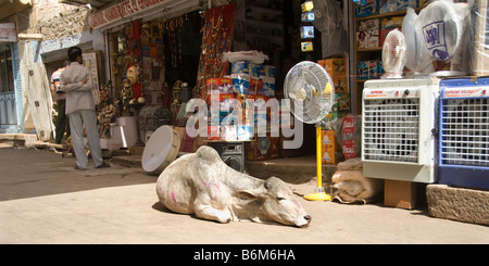 Indische Kuh vor dem Laden, Jaisalmer, Indien Stockfoto