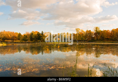 Herbst in Mont Royal Park Montreal Quebec Kanada Stockfoto