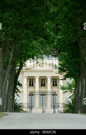 Margaux Frankreich Platanen säumen die Annäherung an Château Margaux Stockfoto