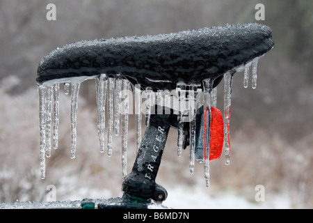 Ice Storm, Eisregen, New England, New Hampshire. Stockfoto