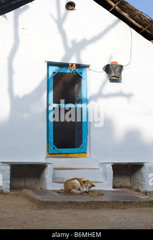 Hund vor einem indischen Dorfhaus schlafen. Andhra Pradesh, Indien Stockfoto