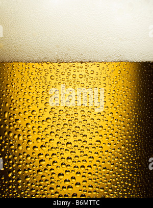 kaltes Bier in einem Glas hautnah schießen Stockfoto
