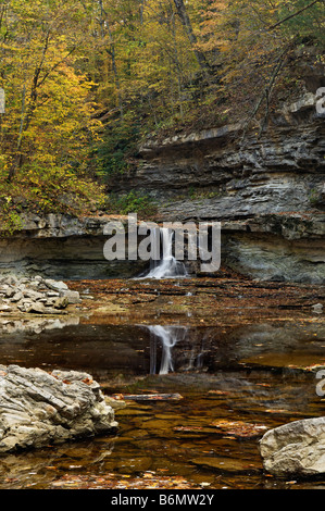 Herbst Farbe rund um Wasserfall am McCormick s Creek im McCormick s Creek State Park Indiana Stockfoto