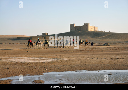 Kamel-Reise in der Wüste Sahara Merzouga, Marokko, Nordafrika Stockfoto