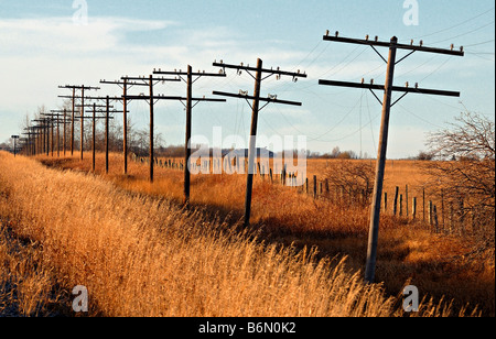 Hydro Polen 0806 Stockfoto