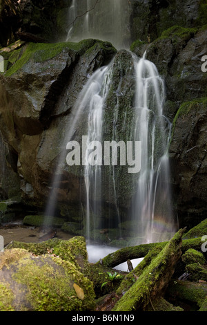 Baskins Creek Falls zugänglich von Roaring Fork Motor Lehrpfad auf der Tennessee-Seite des Great Smoky Mountains National Park Stockfoto