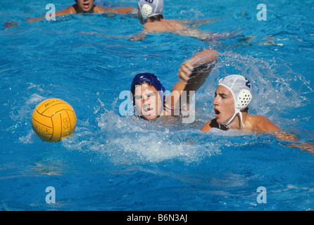 Wasser-Polo-Spieler jagen nach losen Ball im Pool. Stockfoto