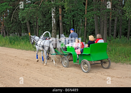 Troika, russische traditionelle Pferd Team fahren, Moscow Region, Russland Stockfoto