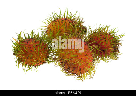 frische Rambutan isoliert auf weißem Hintergrund Nephelium lappaceum Stockfoto