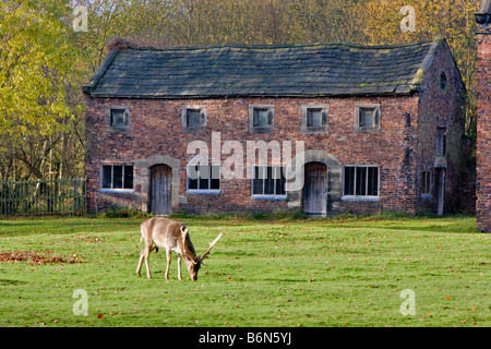 West-Ställe, Dunham Massey Hall und Park, Altrincham, Cheshire, erbaut im späten 17. oder frühen 18. Jahrhundert Stockfoto