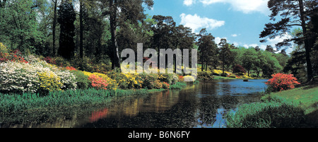 Leonardslee Gardens Frühling Anzeige der Azaleen Stockfoto