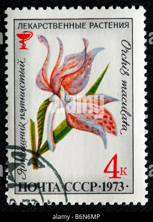 Orchis (Dactylorhiza Maculata, Heide gesichtet Orchidee), Drogen-Pflanzen, Porto Stempel, UdSSR, Russland, 1973 Stockfoto