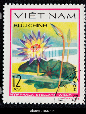 Nymphaea Stellata (rote und blaue Seerose), Briefmarke, Vietnam, 1978 Stockfoto