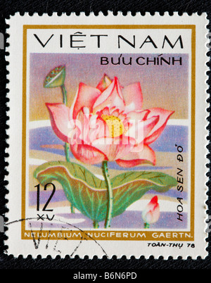 Nelumbo Nucifera (indischer Lotus, Heilige Wasserlilie, Nelumbium Speciosum, Nymphaea Nelumbo), Blume, Briefmarke, Vietnam, 1978 Stockfoto