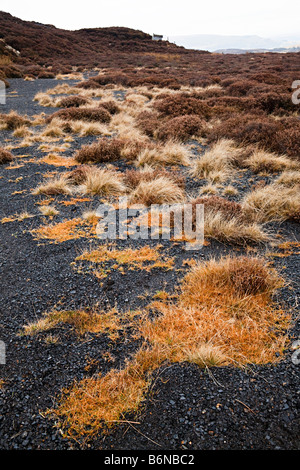 Grass und Heidekraut wächst auf verlassenen Kohle verderben Heap Pwll Du Blaenavon Wales UK Stockfoto