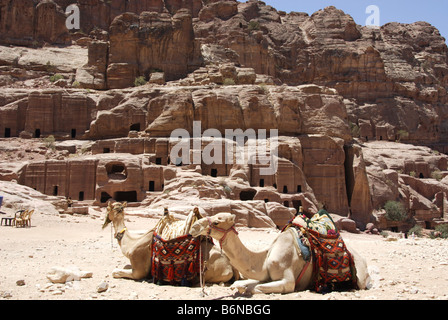 Kamele ausruhen vor Gräber in Petra, Wadi Musa, Jordanien Stockfoto