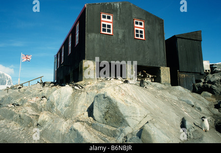 Der ehemalige britische Wissenschaftsbasis in Port Lockroy, antarktische Halbinsel mit Gentoo Penguins und dem Union Jack in den Rücken Stockfoto