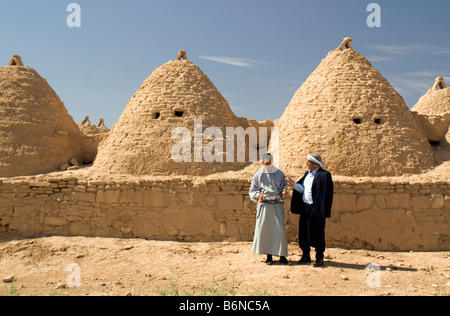 Harran Schlamm Backsteinhäuser Bienenstock adobe Stockfoto