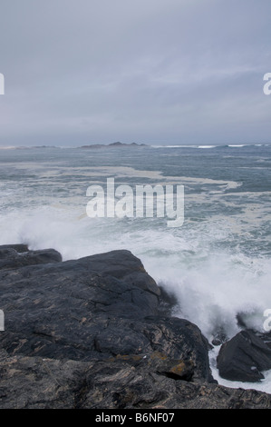 Lüderitz-Halbinsel, Diaz Point, Grosse Bucht, Namibia, SW Afrika. Stockfoto