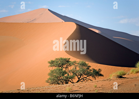 Sanddüne im Bereich der Namib-Wüste-Sossusvlei Namib Naukluft Nationalpark Namibia Stockfoto