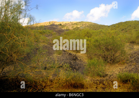 Blick hinauf den Ätna in Sizilien-Italien Stockfoto