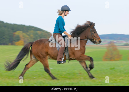 Junge Reiter im Galopp auf Rückseite "Islandpferd" Stockfoto