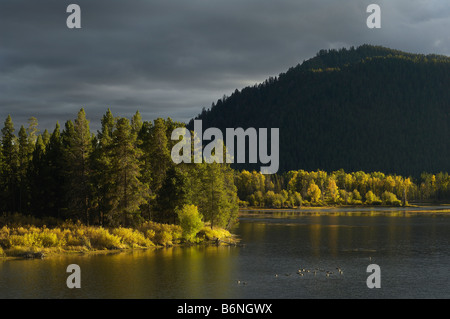 Dramatisches Licht in den Rocky Mountains Stockfoto