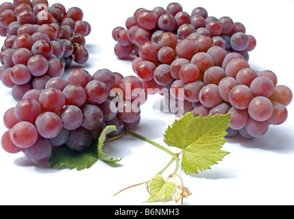 Rote Trauben und Blätter auf weißem Hintergrund Stockfoto