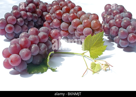 Rote Trauben und Blätter auf weißem Hintergrund Stockfoto