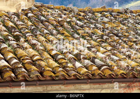 Schöne antike Fliesen auf einem Dach Wohnung in Le Marche Hilltown der Montefortino in den Monti Sibillini Nationalpark, Italien Stockfoto