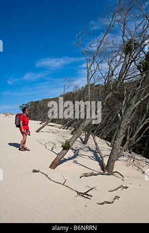 Frau Wanderer in Lacka Gora Dünen wo Bäume durch eindringenden Sand Slowinski Nationalpark Leba Polen getötet werden Stockfoto