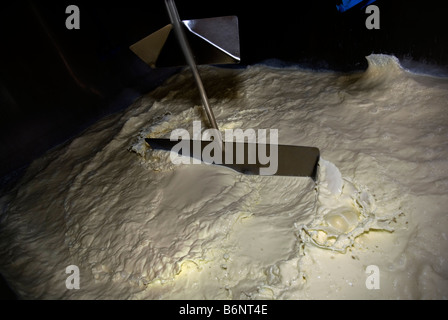 Frische Kuhmilch, Buttern in Melkmaschine in modernen Milchviehbetrieb Stockfoto