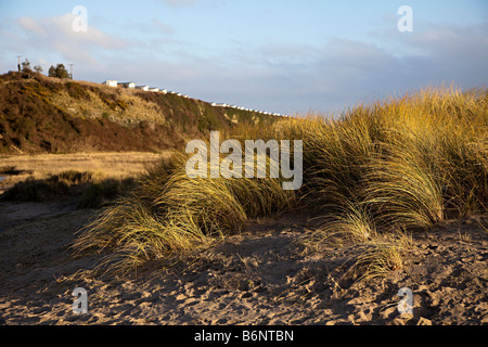 Dünengebieten Grass Ammophilia Arenaria auf Dünen in der Nähe von Aberthaw mit Urlaub Wohnwagen auf Klippe Wales UK Stockfoto