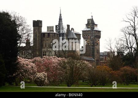 Cardiff Castle vom Bute Park aus gesehen, im Frühjahr, Cardiff, Südwales, U.K Stockfoto